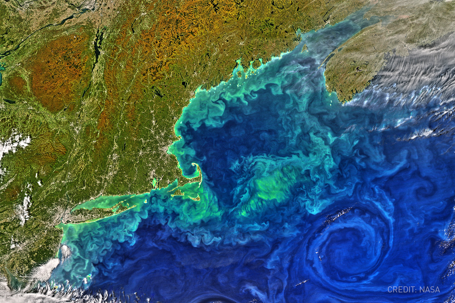 Bigelow Laboratory for Ocean Sciences joins the GOAP Membership